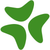 Bloomerang.co logo