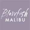 Blowfishshoes.com logo