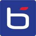 Bluechipit.com.au logo