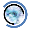 Blueirissoftware.com logo