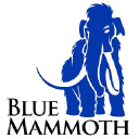 Bluemammoth.com logo