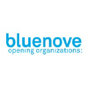 Bluenove.com logo