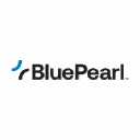 Bluepearlvet.com logo