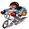 Bmxmuseum.com logo