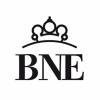 Bne.es logo