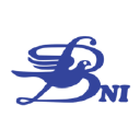 Bnionline.net logo