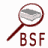 Booksalefinder.com logo