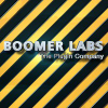 Boomerlabs.com logo