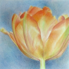 Botanicalartandartists.com logo