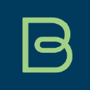 Brainspring.com logo