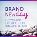 Brandnewday.ru logo