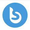 Brandsynario.com logo