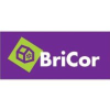 Bricor.es logo