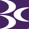 Brightoncentre.co.uk logo