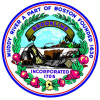 Brooklinema.gov logo