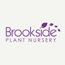 Brooksidenursery.co.uk logo