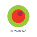 Brusnika.ru logo