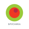 Brusnika.ru logo