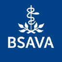 Bsava.com logo