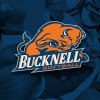 Bucknellbison.com logo