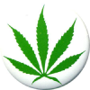 Budfacts.com logo