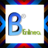 Buenaventuraenlinea.com logo