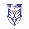 Bumpofchicken.com logo