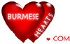 Burmesehearts.com logo