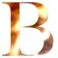 Bustic.ru logo