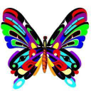 Butterflywonderland.com logo