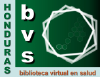 Bvs.hn logo