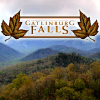 Cabinsofthesmokymountains.com logo