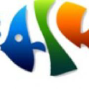 Cacanhthaihoa.com logo