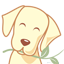 Cachorroverde.com.br logo