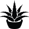 Cacti.com logo