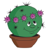 Cactuslove.ru logo