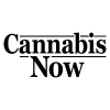 Cannabisnow.com logo