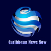 Caribbeannewsnow.com logo