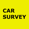 Carsurvey.org logo