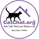 Catchat.org logo