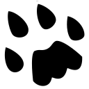 Catlikecoding.com logo