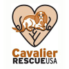 Cavalierrescueusa.org logo