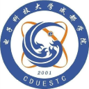 Cduestc.cn logo