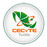 Cecytepuebla.edu.mx logo