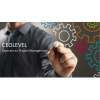 Ceolevel.com logo