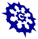 Cgarena.com logo