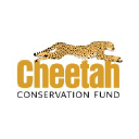 Cheetah.org logo