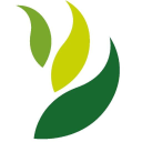 Ciard.net logo