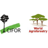 Cifor.org logo