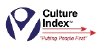 Cindexinc.com logo